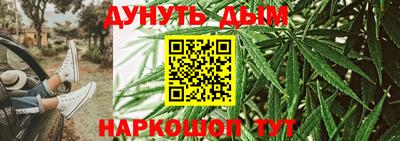 прущие грибы Сланцы