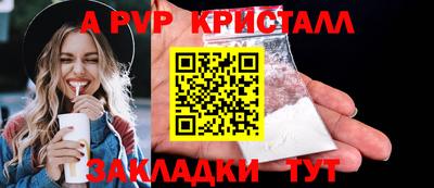 прущие грибы Сланцы