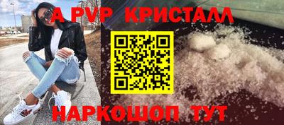 прущие грибы Сланцы