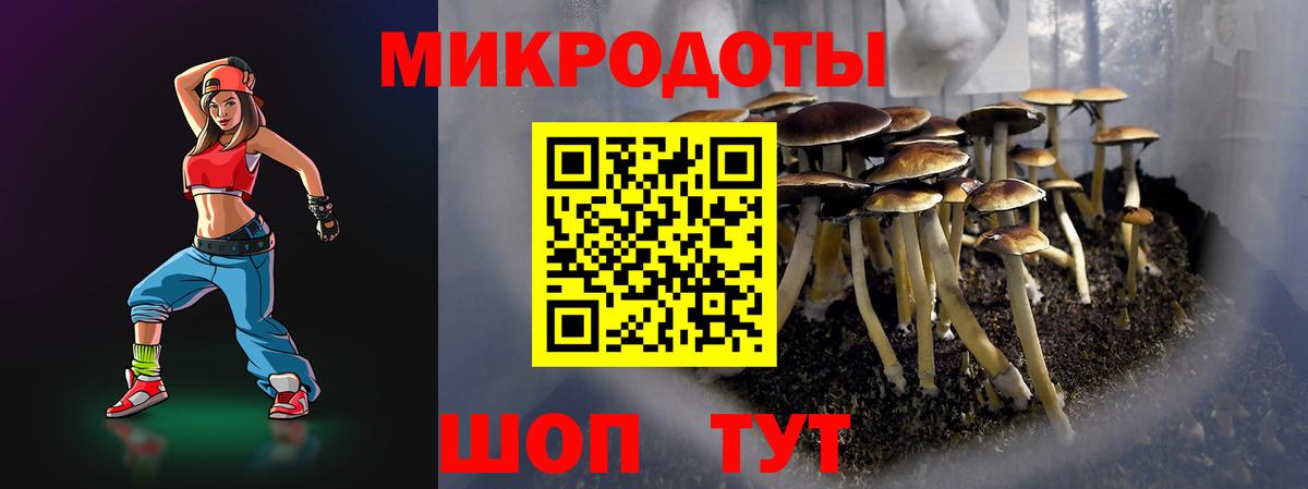 Нижнекамск  наркота  Вход с VPN  Псилоцибиновые грибы Psilocybe  Псилоцибиновые грибы Magic Shrooms 