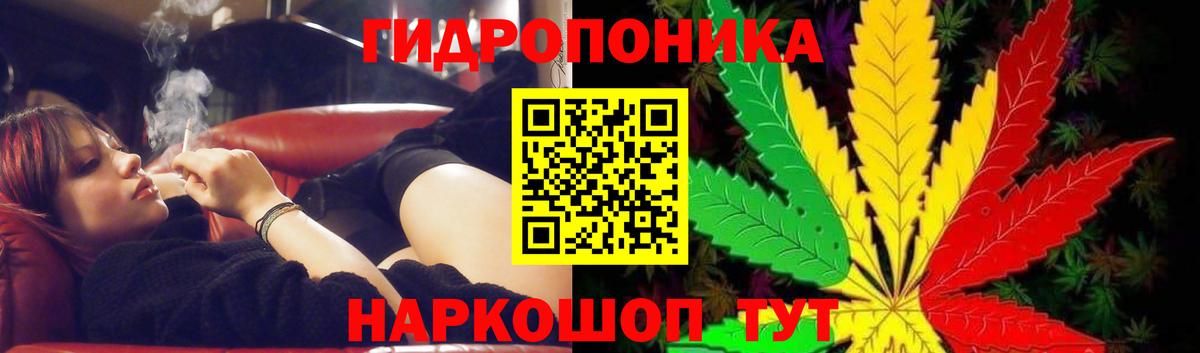 Нижнекамск  Марихуана Bruce Banner  Вход с VPN  Каннабис марихуана  Шишки марихуана сатива  Шишки марихуана планчик 